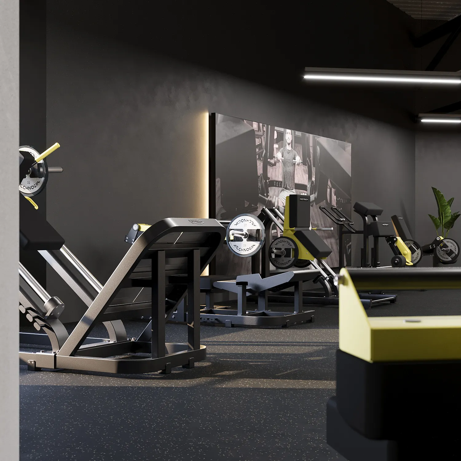 3D-Rendering eines Kraftbereichs mit Hackenschmidt-Maschine, Beinpresse und Hantelscheiben vor einer Fotowand